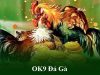Review đá gà Ok9 – Nơi giải trí cực chất cho dân cá cược