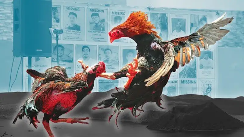 Kinh nghiệm nhận diện gà chiến thắng nhanh tại 0123WIN