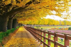 Ảnh Phong Cảnh – Hòa Mình Trong Không Gian Và Ánh Sáng