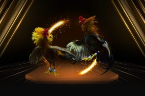 Đá gà Ok9 – môn thể thao dân gian đầy kịch tính 2025