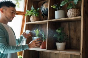 Ảnh Trong Nhà – Nghệ Thuật Ghi Lại Khoảnh Khắc Đời Thường