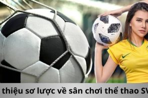 Sân Chơi Cá Cược Bóng Đá, Esports Uy Tín Hàng Đầu Tại Sv368