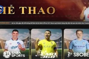 Thể Thao 88FC – Trải Nghiệm Thực Tế Và Nhận Xét Từ Người Dùng