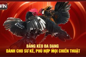 Đá gà 33win – Trải nghiệm giải trí trực tuyến kịch tính và trực quan