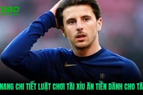 Cập nhật kết quả bóng đá nhanh và hỗ trợ soi kèo hiệu quả