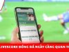 Livescore bóng đá – Công cụ cập nhật tỷ số trực tiếp và dữ liệu trận đấu theo thời gian thực
