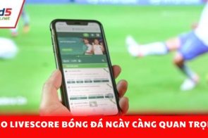 Livescore bóng đá – Công cụ cập nhật tỷ số trực tiếp và dữ liệu trận đấu theo thời gian thực
