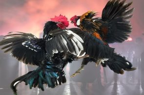 Nhà Cái F8BET – Sân Chơi Cá Cược Trực Tuyến Độc Đáo