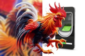 Đá Gà Trực Tiếp Thomo Trải Nghiệm Trường Đấu Chân Thực