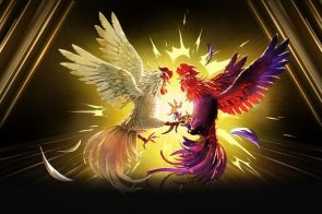 Đá gà – Xu hướng giải trí trực tuyến được yêu thích