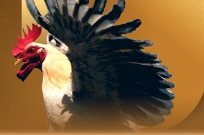 Tham gia đá gà MMOO online, soi kèo chuẩn thắng nhanh gọn