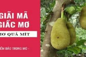 Nằm mơ thấy ăn mít đánh số gì? Bí mật về con số may mắn