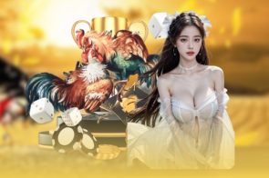 Đá gà 99WIN sân chơi an toàn kèo đẹp cho người chơi lâu dài